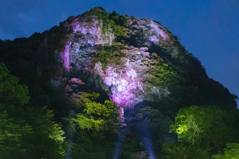 teamLab Mifuneyama Rakuen Park Immersive Exhibition A Forest Where Gods Live humans nature interactions Floating Resonating Lamps Drawing on the Water Surface Created by the Dance of Koi and Boats Ever Blossoming Life Rock Universe of Water Particles on a Sacred Rock The Floating Tree