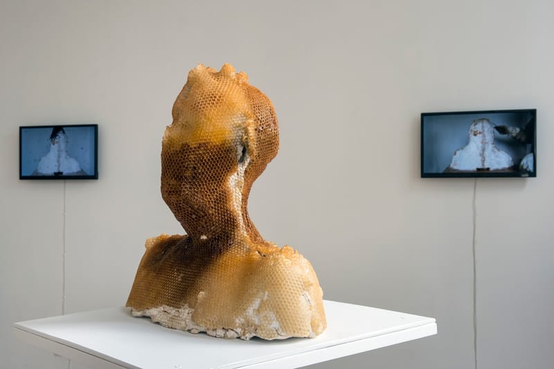 “The Art of Being Good” Exhibit Sheds Light on Global Climate Crisis with Sustainable Artworks