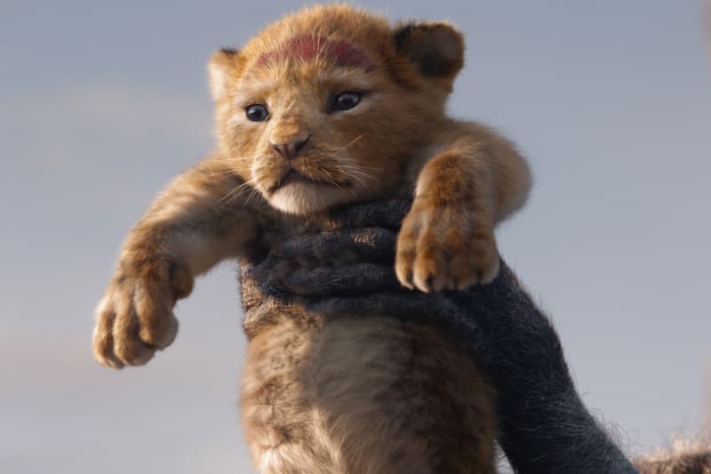 Critics Are Praising 'The Lion King' early reviews donald glover beyonce seth rogen disney simba pride rock