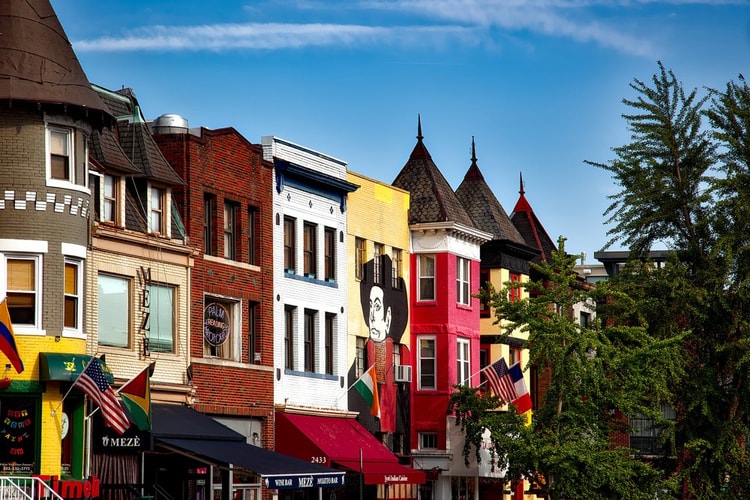 The City Guide to Washington, D.C.