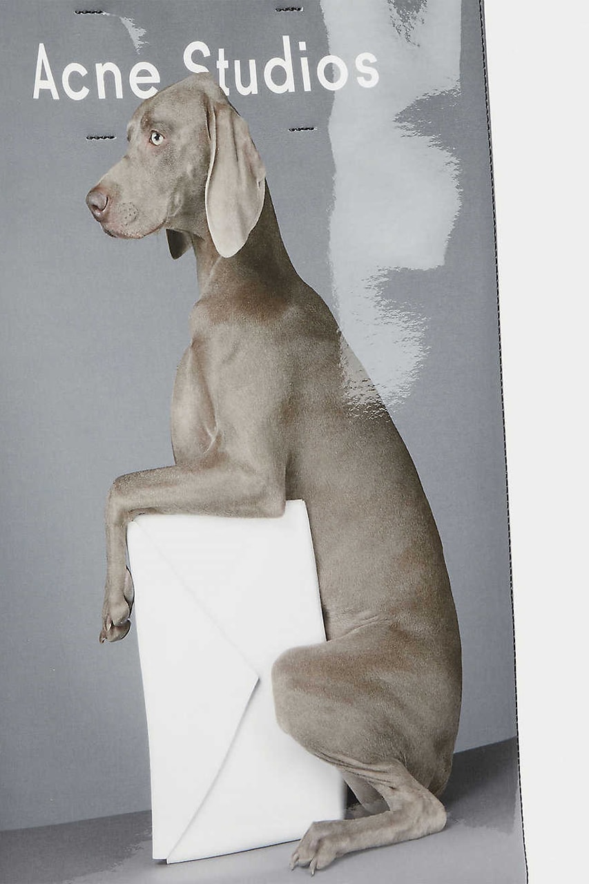 Acne Studios Baker PVC Tote Bag William Wegman Graphic Dog Gray White 24903853