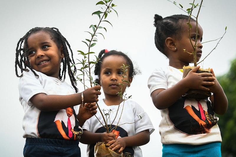 Ethiopia Plants 353 Million Trees in 12 Hours Prime Minister Abiy Ahmed reforestation eco friendly environment climate change 