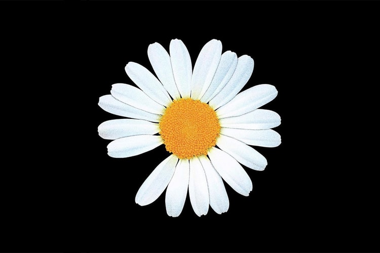 More Images of G-Dragon's PEACEMINUSONE x Nike Air Force 1 ‘07 "Para?Noise" Surface