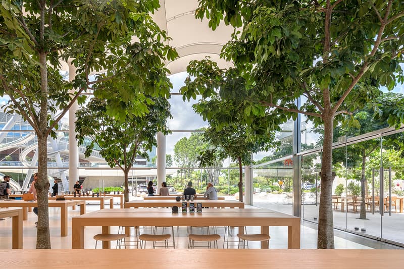 Look Inside Apple Wavy Aventura Store Miami Architecture Foster + Partners