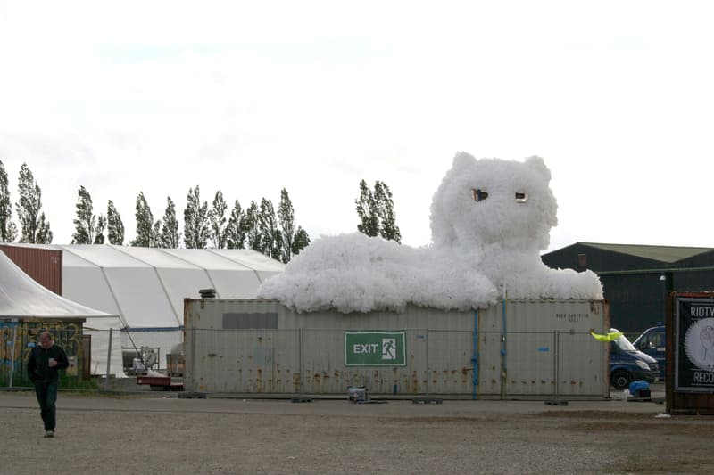 Kaja Haven Enormous Persian Cat Copenhagen Distortion Ø Music Festival White Laser Machine Eyes Colorful Light