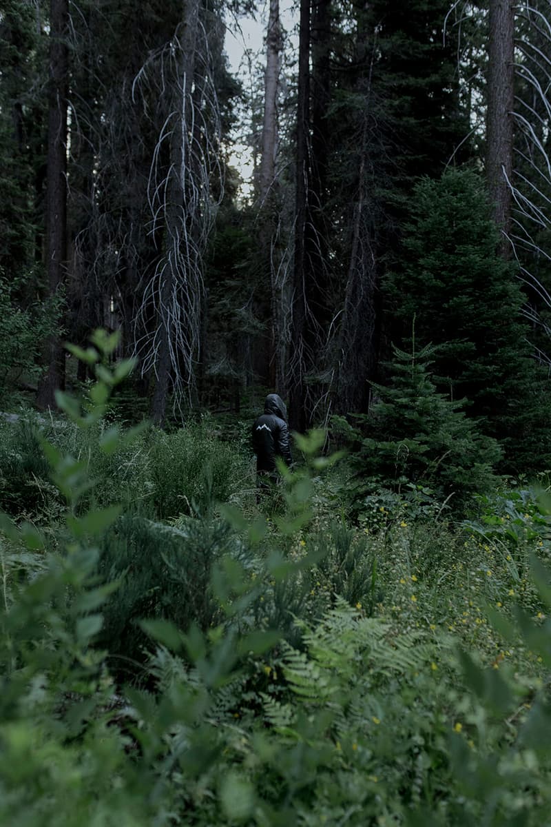 Afield Out Fall 2019 Lookbook Jackets T-shirts Long-Sleeves Hoodies Mountains Sequoia National Park Green Purple White Peace Sign Flowers