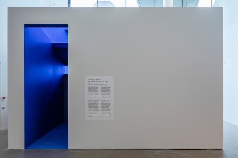 douglas gordon in my shadow exhibition video artist aros museum denmark presentation films Rufus Wainwright Philippe Parreno