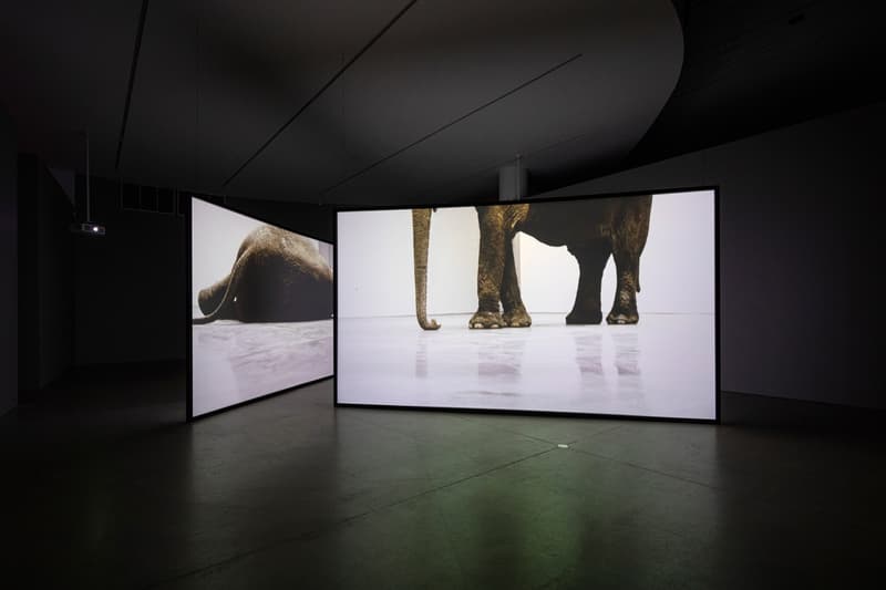 douglas gordon in my shadow exhibition video artist aros museum denmark presentation films Rufus Wainwright Philippe Parreno