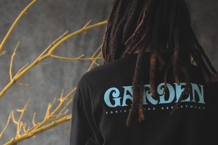 EDEN Power Corp Teams up With Eden Reforestation Projects to Save the Forests