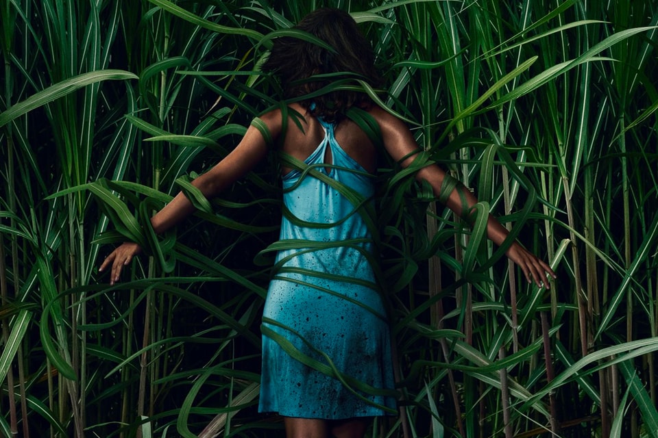 In The Tall Grass Netflix Movie Ending Explained