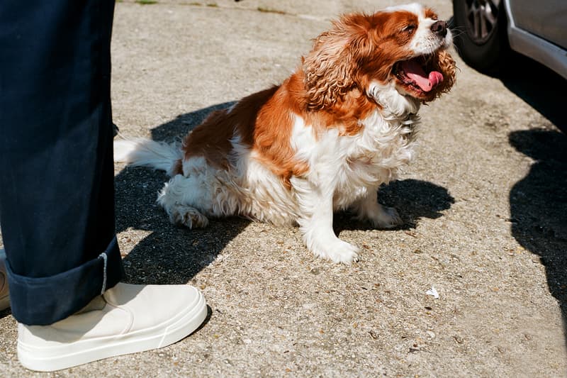 stepney workers club swc fw19 fall winter 19 dellow varden lister release information slip on buy cop purchase order "Porcelain Pets, Lawn Mowers & Teas." campaign imagery goodhood stockists