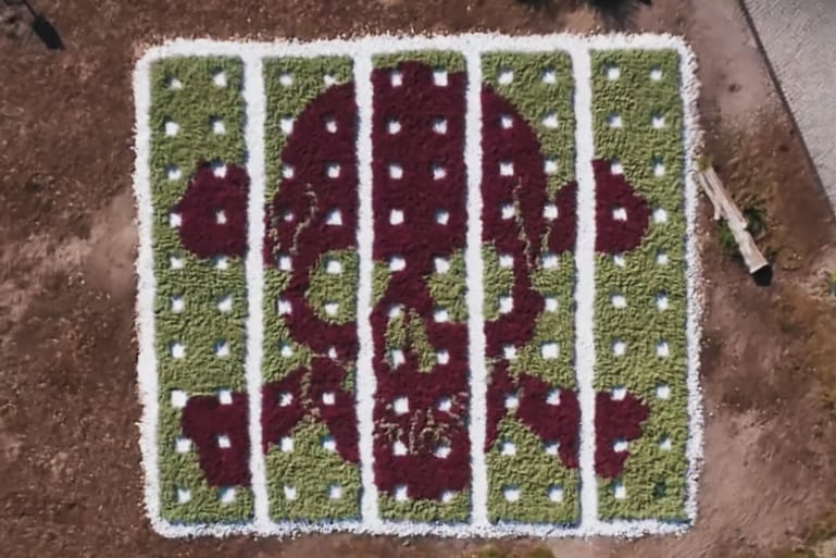 Tim Bengel Creates Large-Scale 'Flower Skull Cemetery' Overnight