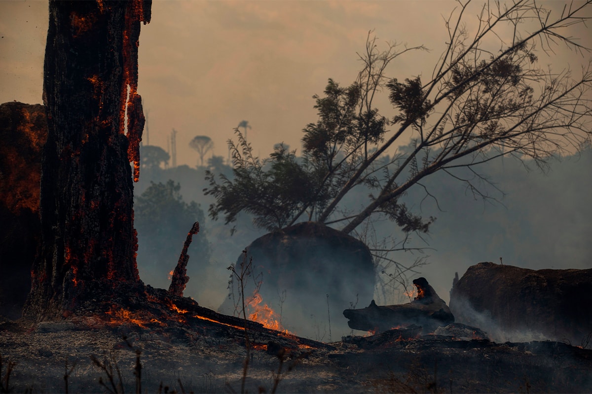 Vogue Footwear Industry Brazilian Forest Fires Amazon LVMH nike kering rachel cernansky opinion global warming climate change deforestation
