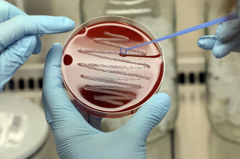 Astronauts Bioprint Beef in Space for the First Time lab grown meat science engineering genetics 