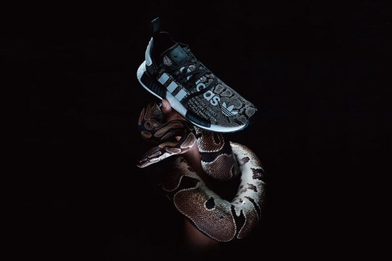 atmos adidas NMD R1 Snakeskin Green & Grey Release Dates