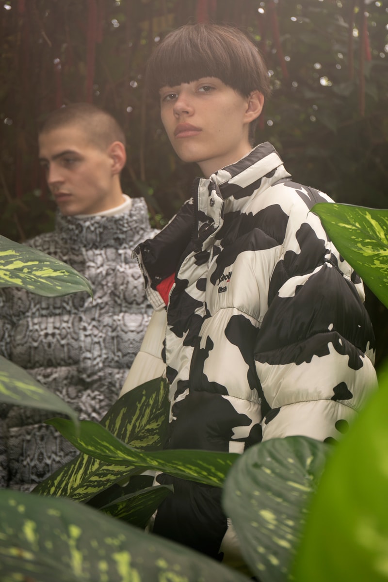 Schott NYC Caliroots "Animal Pack" Collection Puffers "Nebraska" Short Jackets Parkas White Snake Cow Black Snake Leo Red  