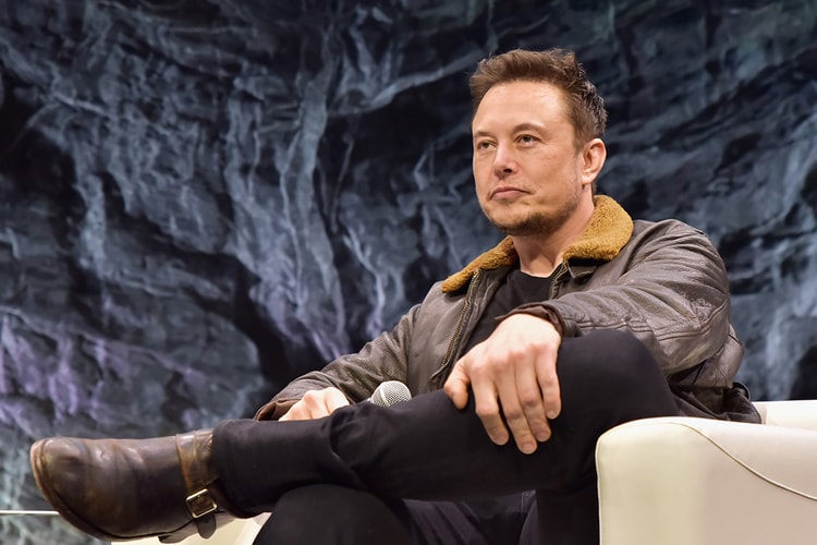 Elon Musk Donates 1 Million Trees to YouTuber's Tree-Planting Initiative