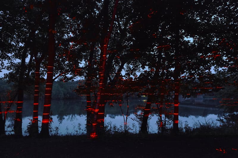 geometry of light red lasers iker gil luftwerk mies van der rohe farnsworth house 2019 installation 