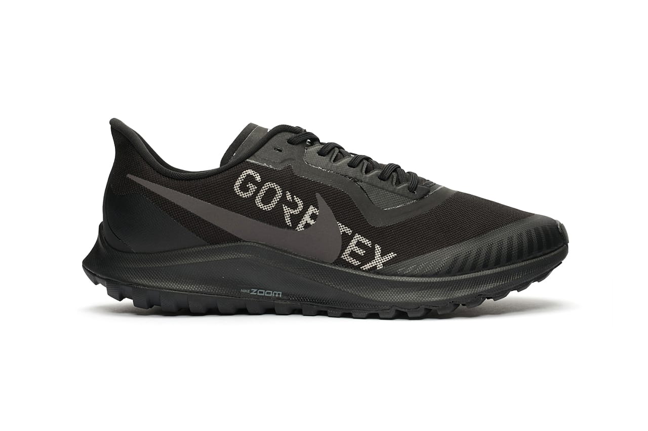 Nike Zoom Pegasus 36 Trail GORE-TEX 