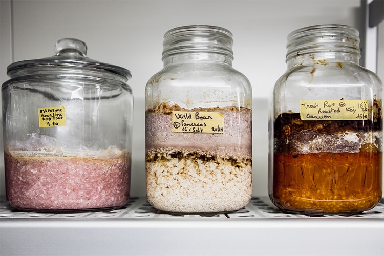 The Science (and Art) of Fermented Foods