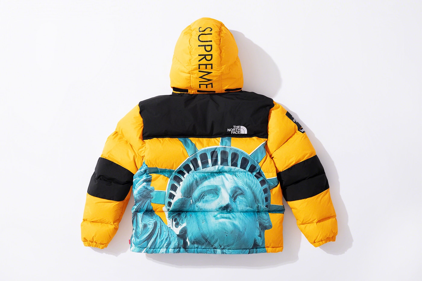 DS New Supreme TNF North Face Mountain Jacket FW 19 Statue of