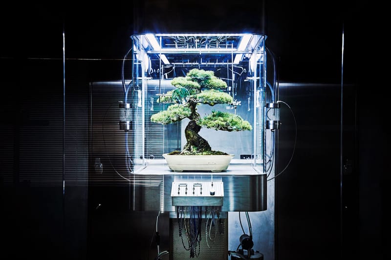 Artist Azuma Makoto Creates Futuristic Ecosphere for Bonsai Tree