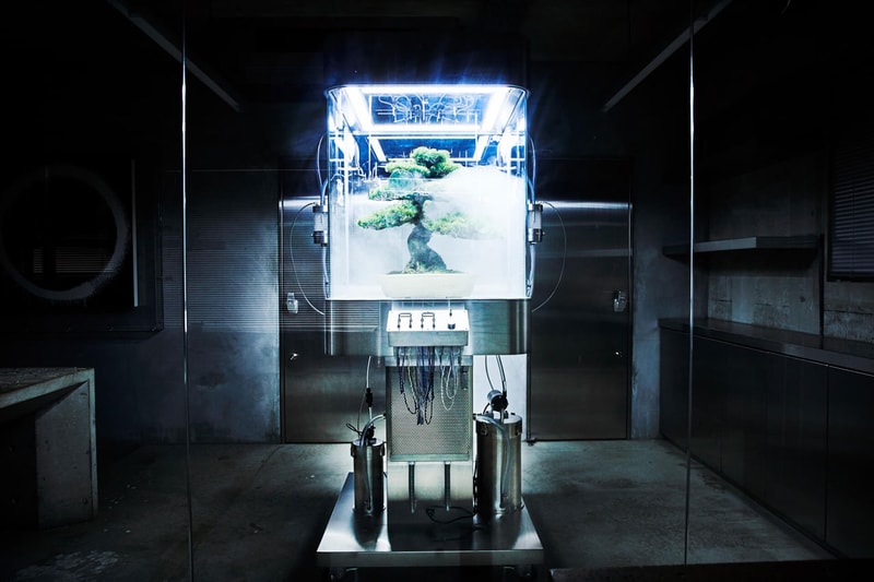 Azuma Makoto 'Paludarium TACHIKO' Machine | Hypebeast