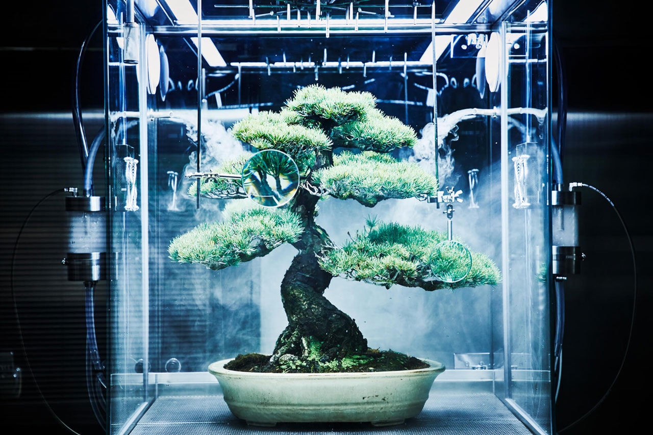 azuma makoto paludarium tachiko bonsai tree plant protection machine artworks flower arrangements