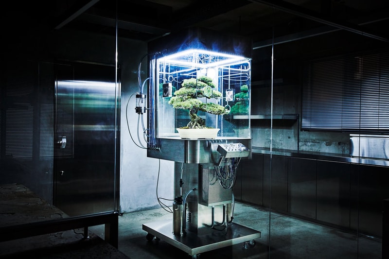 azuma makoto paludarium tachiko bonsai tree plant protection machine artworks flower arrangements