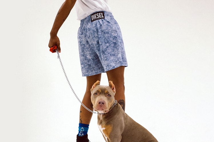 Bodega and Diesel Prepare to Launch "Unofficial Art Basel Miami Gift Shop"