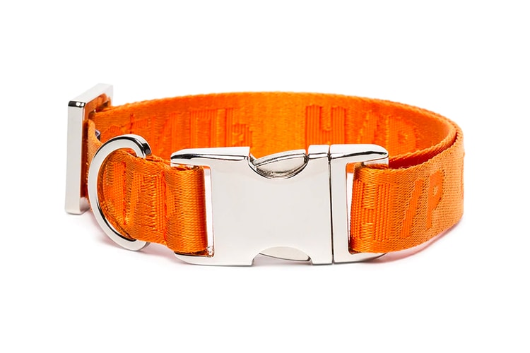 Heron Preston Drops Orange Buckled Dog Collar