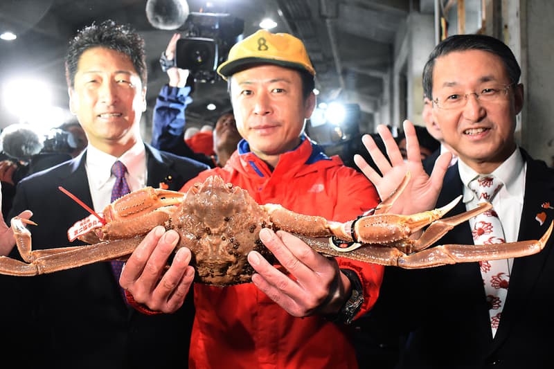 Japanese Snow Crab Sells for $46,000 USD at Auction Hanahista Shoten fish wholesaler Tottori Japan market 1.2kg 2.7lbs crustacean male Ginza Honshu 5 million yen