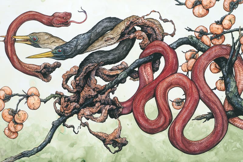 Lauren Marx to Showcase Detailed Works of Flora & Fauna at Los Angeles Exhibition