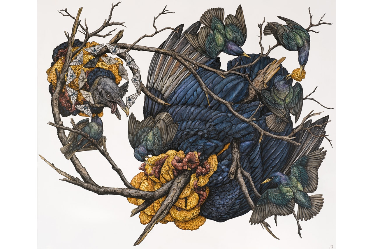 Lauren Marx "Chimera" Exhibition Info Corey Helford Gallery Los Angeles Ink Pen Mixed Media Flora Fauna Birds Snakes Fawn 