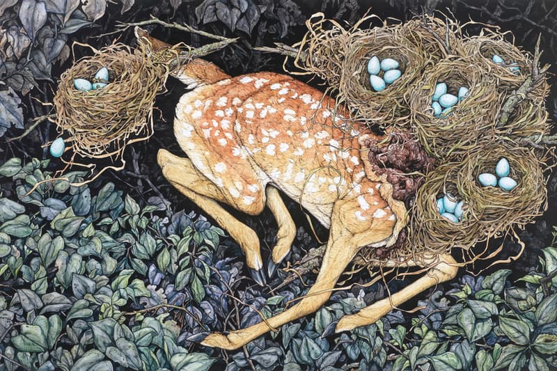 Lauren Marx "Chimera" Exhibition Info Corey Helford Gallery Los Angeles Ink Pen Mixed Media Flora Fauna Birds Snakes Fawn