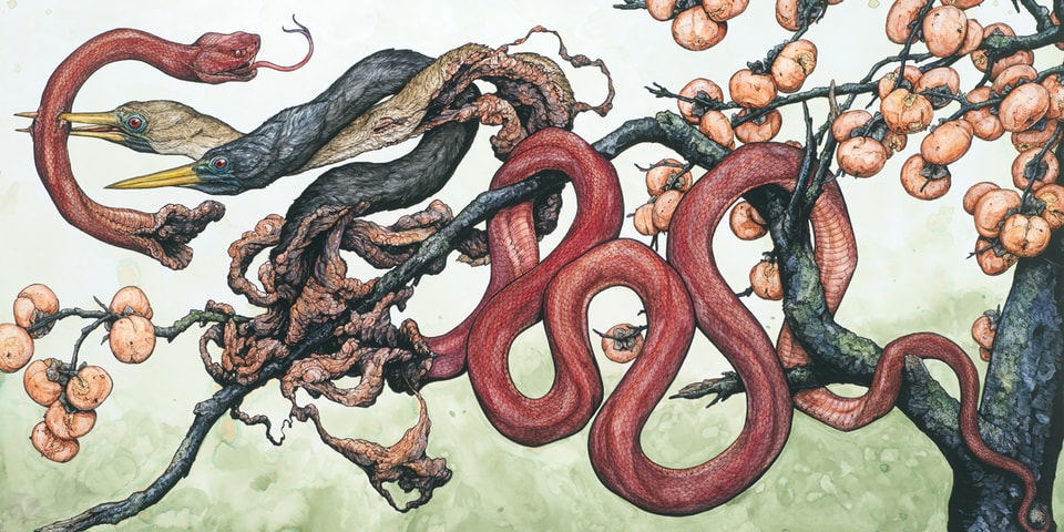 Lauren Marx to Showcase Detailed Works of Flora & Fauna at Los Angeles Exhibition
