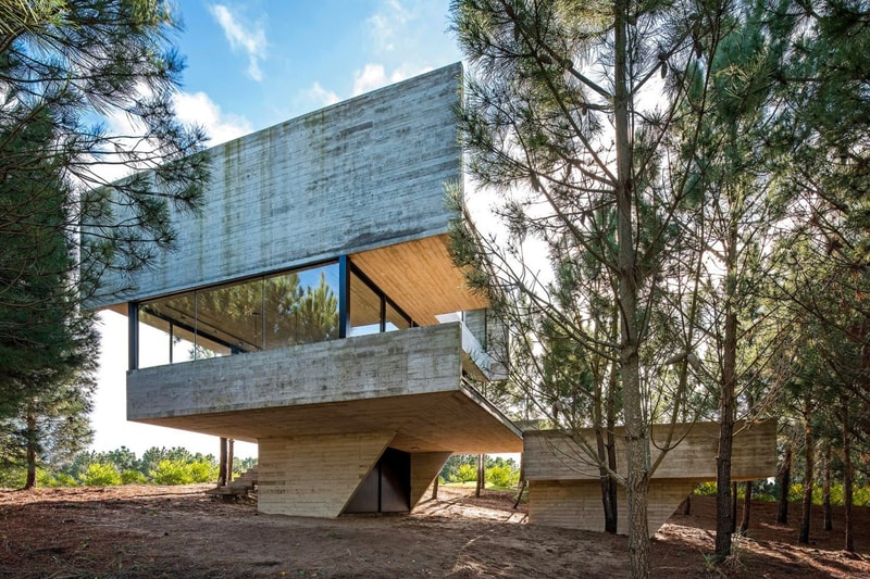 Luciano Kruk House in the Trees Info  CASA EN LOS ÁRBOLES architecture minimal minimalist homes houses concrete brutalist  Buenos Aires