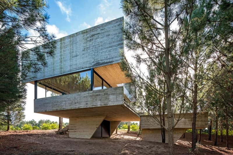 Luciano Kruk House in the Trees Info CASA EN LOS ÁRBOLES architecture minimal minimalist homes houses concrete brutalist Buenos Aires