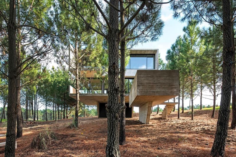 Luciano Kruk House in the Trees Info CASA EN LOS ÁRBOLES architecture minimal minimalist homes houses concrete brutalist Buenos Aires