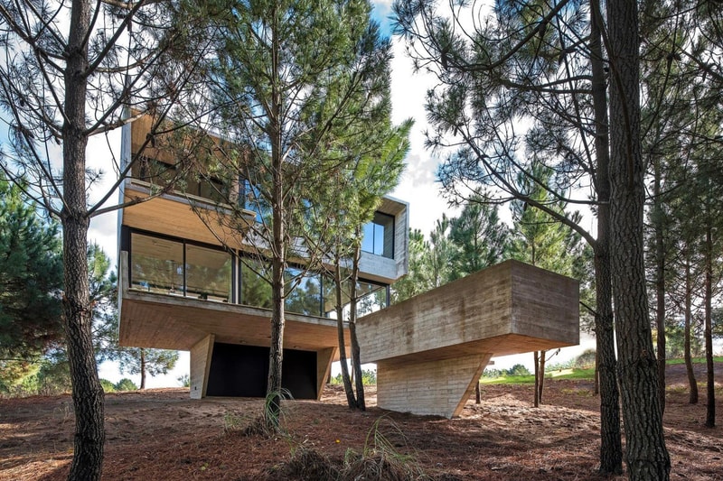 Luciano Kruk House in the Trees Info  CASA EN LOS ÁRBOLES architecture minimal minimalist homes houses concrete brutalist  Buenos Aires