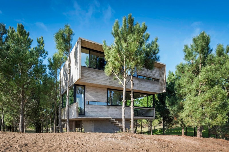 Luciano Kruk House in the Trees Info  CASA EN LOS ÁRBOLES architecture minimal minimalist homes houses concrete brutalist  Buenos Aires