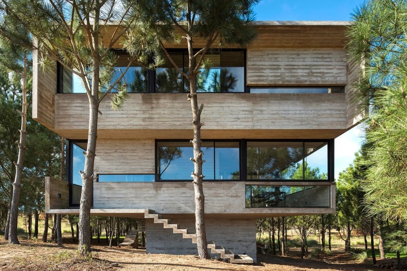 Luciano Kruk House in the Trees Info  CASA EN LOS ÁRBOLES architecture minimal minimalist homes houses concrete brutalist  Buenos Aires