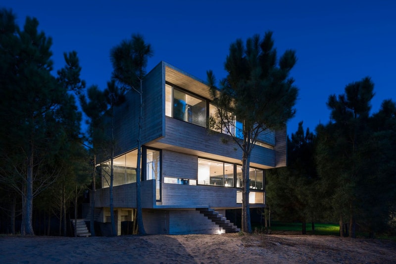 Luciano Kruk House in the Trees Info  CASA EN LOS ÁRBOLES architecture minimal minimalist homes houses concrete brutalist  Buenos Aires