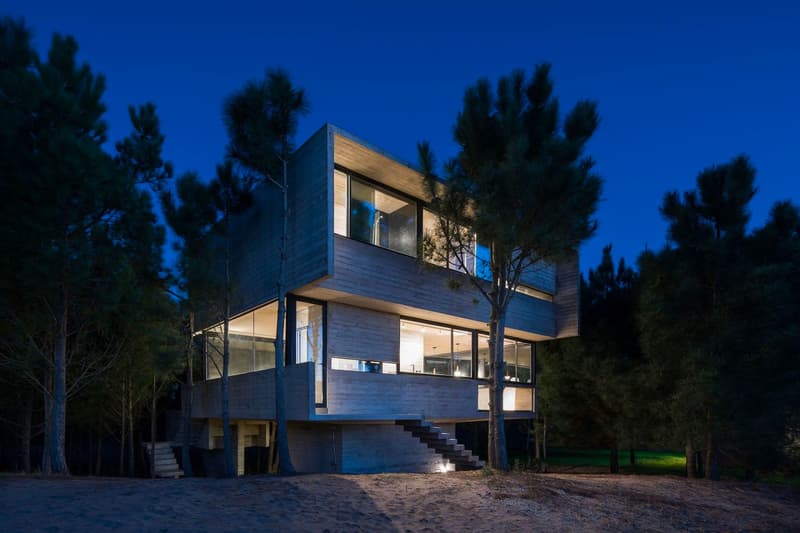 Luciano Kruk House in the Trees Info CASA EN LOS ÁRBOLES architecture minimal minimalist homes houses concrete brutalist Buenos Aires