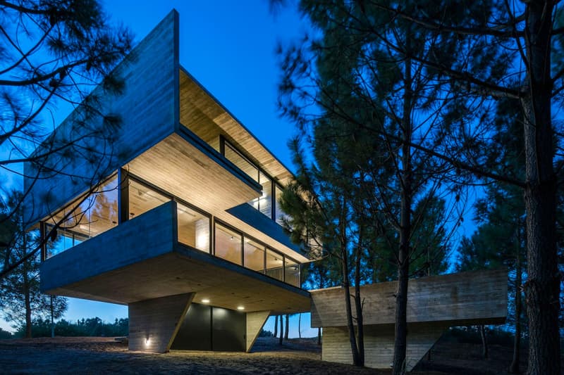 Luciano Kruk House in the Trees Info CASA EN LOS ÁRBOLES architecture minimal minimalist homes houses concrete brutalist Buenos Aires