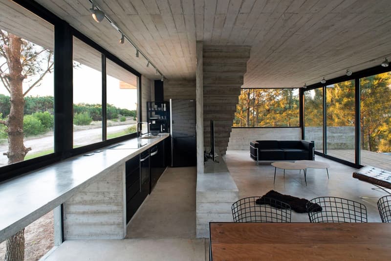 Luciano Kruk House in the Trees Info CASA EN LOS ÁRBOLES architecture minimal minimalist homes houses concrete brutalist Buenos Aires
