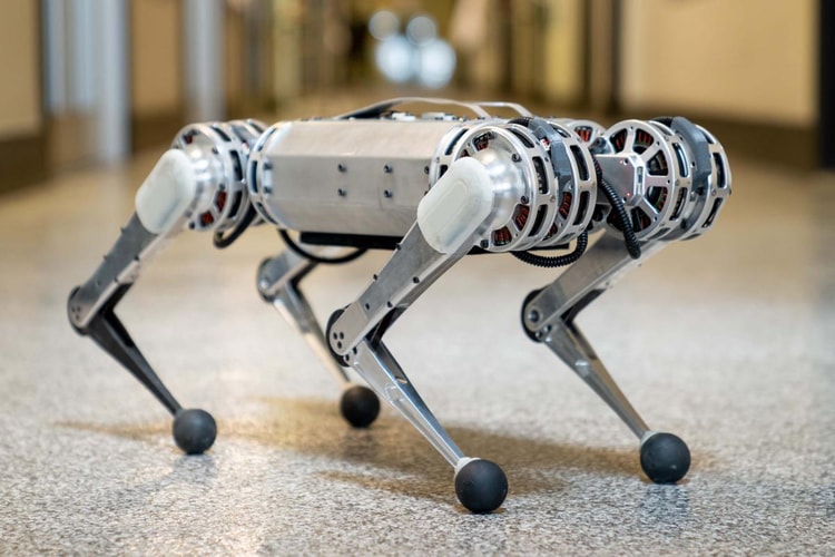 Watch MIT’s ‘Mini Cheetah’ Robots Synchronize Fall and Play Soccer
