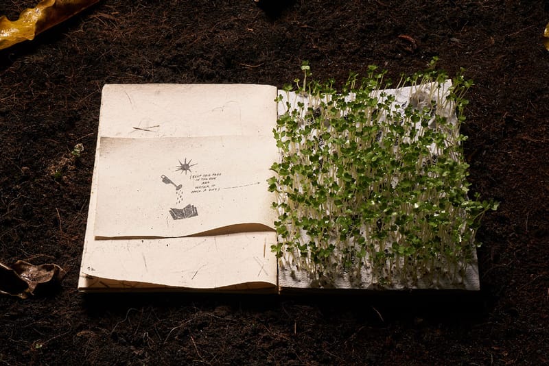 'The Boy Who Could Not Wait' Book Grows a Real Garden to Teach Children Patience