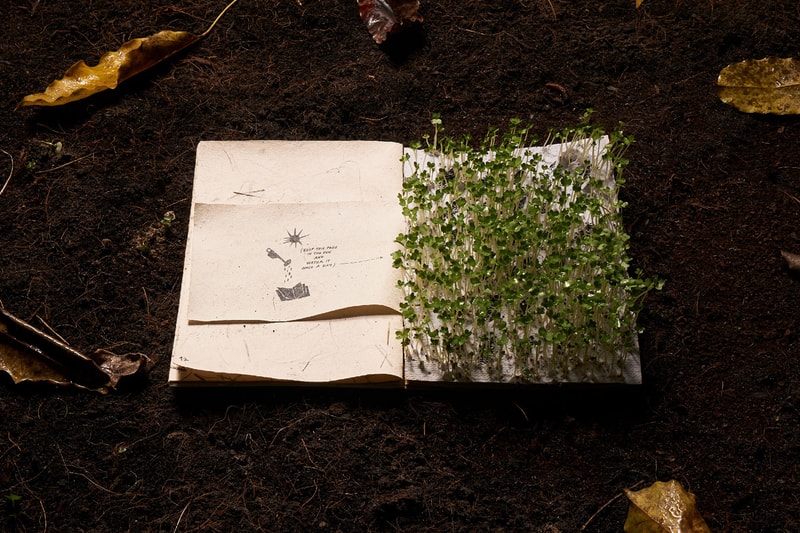 the boy who could not wait book eco friendly paper silkscreened recycled green around the corner concept store vietnam teach children patience garden growth 