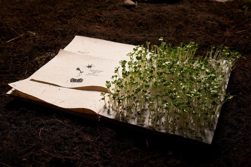 the boy who could not wait book eco friendly paper silkscreened recycled green around the corner concept store vietnam teach children patience garden growth 